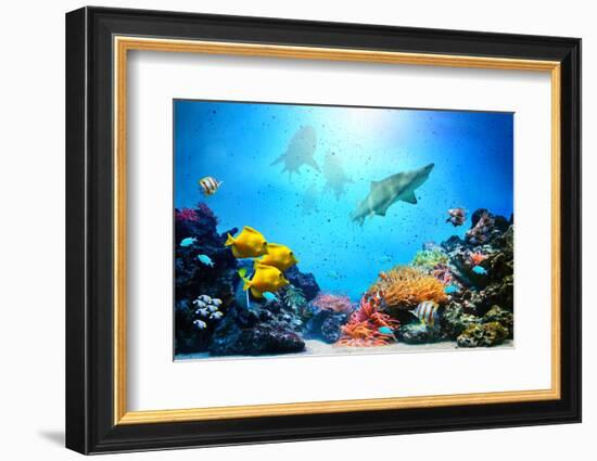 Underwater Scene-Michal Bednarek-Framed Photographic Print