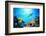 Underwater Scene-Michal Bednarek-Framed Photographic Print