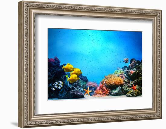 Underwater Scene-Michal Bednarek-Framed Photographic Print