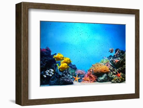 Underwater Scene-Michal Bednarek-Framed Photographic Print