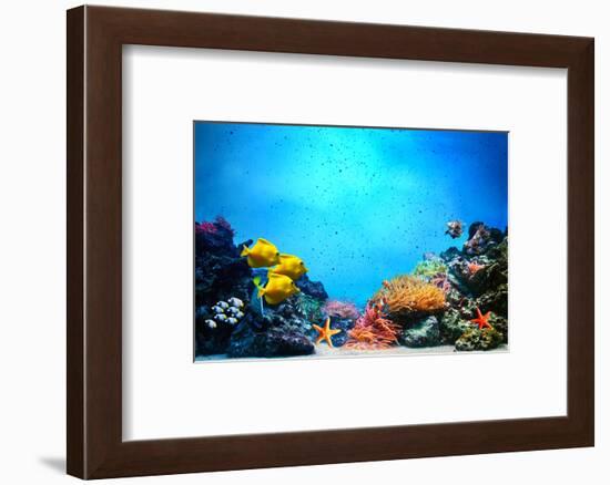 Underwater Scene-Michal Bednarek-Framed Photographic Print