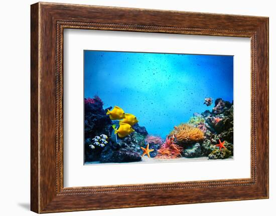 Underwater Scene-Michal Bednarek-Framed Photographic Print