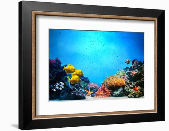 Underwater Scene-Michal Bednarek-Framed Photographic Print