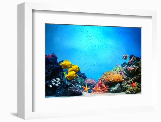 Underwater Scene-Michal Bednarek-Framed Photographic Print