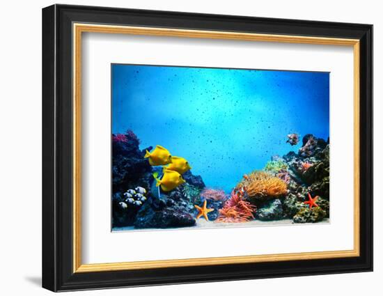 Underwater Scene-Michal Bednarek-Framed Photographic Print