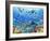 Underwater Scene-Adrian Chesterman-Framed Art Print