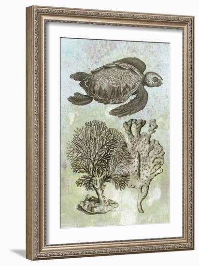 Underwater Sea Turtle I-Vision Studio-Framed Art Print