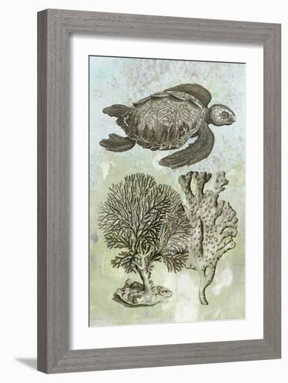 Underwater Sea Turtle I-Vision Studio-Framed Art Print