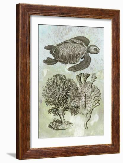 Underwater Sea Turtle I-Vision Studio-Framed Art Print