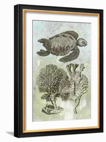 Underwater Sea Turtle I-Vision Studio-Framed Art Print