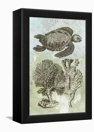 Underwater Sea Turtle I-Vision Studio-Framed Stretched Canvas