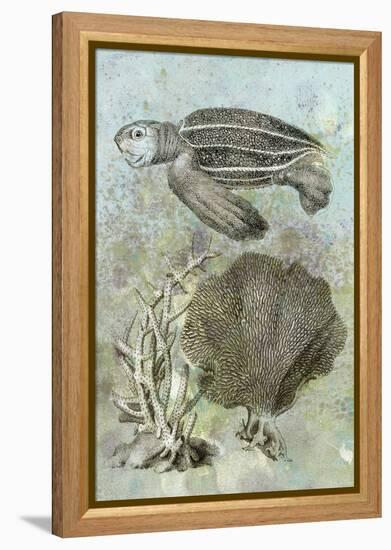 Underwater Sea Turtle II-Vision Studio-Framed Stretched Canvas