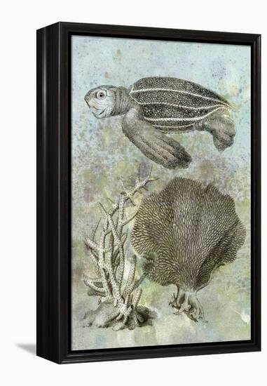 Underwater Sea Turtle II-Vision Studio-Framed Stretched Canvas