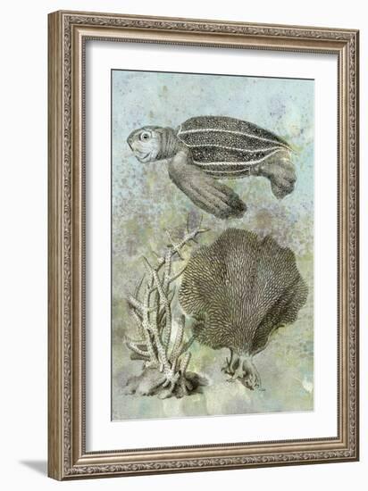 Underwater Sea Turtle II-Vision Studio-Framed Art Print