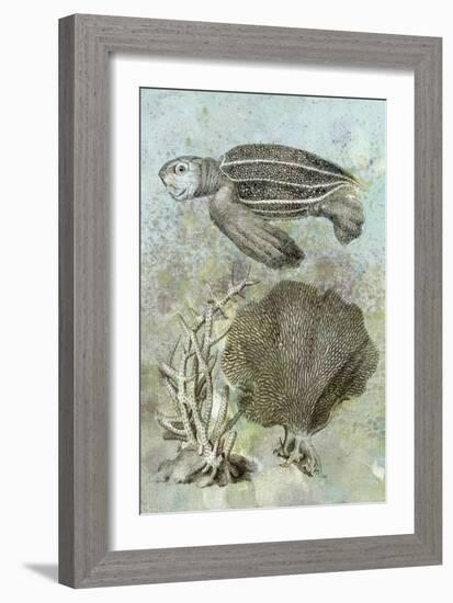 Underwater Sea Turtle II-Vision Studio-Framed Art Print