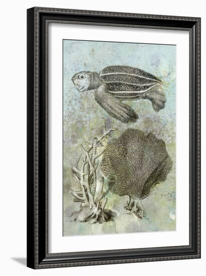 Underwater Sea Turtle II-Vision Studio-Framed Art Print