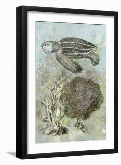 Underwater Sea Turtle II-Vision Studio-Framed Premium Giclee Print