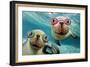 Underwater Selfie-Lucia Heffernan-Framed Art Print