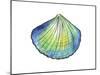 Underwater Shell 1-Beverly Dyer-Mounted Art Print