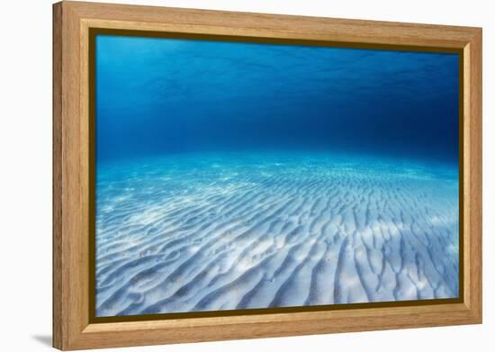 Underwater Shoot of an Infinite Sandy Sea Bottom with Clear Blue Water and Waves on its Surface-Dudarev Mikhail-Framed Premier Image Canvas