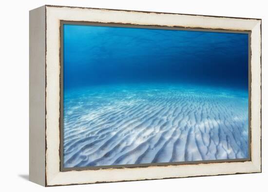 Underwater Shoot of an Infinite Sandy Sea Bottom with Clear Blue Water and Waves on its Surface-Dudarev Mikhail-Framed Premier Image Canvas