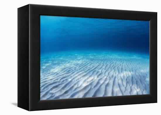 Underwater Shoot of an Infinite Sandy Sea Bottom with Clear Blue Water and Waves on its Surface-Dudarev Mikhail-Framed Premier Image Canvas