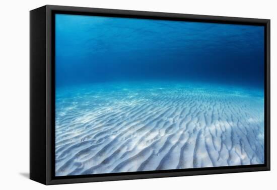 Underwater Shoot of an Infinite Sandy Sea Bottom with Clear Blue Water and Waves on its Surface-Dudarev Mikhail-Framed Premier Image Canvas