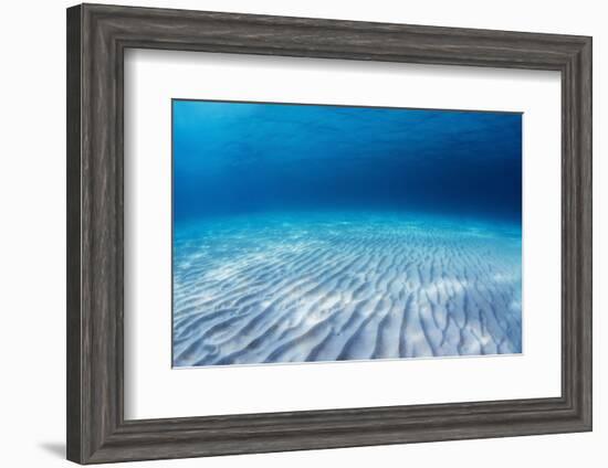 Underwater Shoot of an Infinite Sandy Sea Bottom with Clear Blue Water and Waves on its Surface-Dudarev Mikhail-Framed Photographic Print