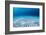 Underwater Shoot of an Infinite Sandy Sea Bottom with Clear Blue Water and Waves on its Surface-Dudarev Mikhail-Framed Photographic Print