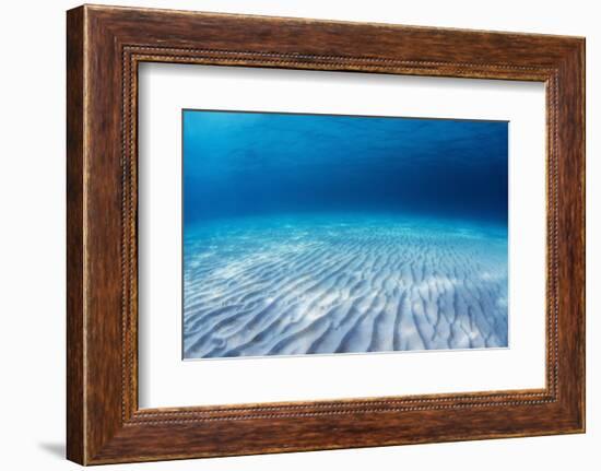 Underwater Shoot of an Infinite Sandy Sea Bottom with Clear Blue Water and Waves on its Surface-Dudarev Mikhail-Framed Photographic Print
