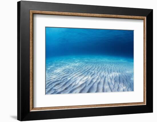 Underwater Shoot of an Infinite Sandy Sea Bottom with Clear Blue Water and Waves on its Surface-Dudarev Mikhail-Framed Photographic Print