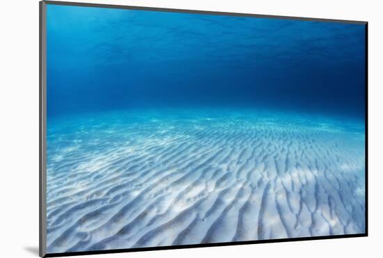 Underwater Shoot of an Infinite Sandy Sea Bottom with Clear Blue Water and Waves on its Surface-Dudarev Mikhail-Mounted Photographic Print