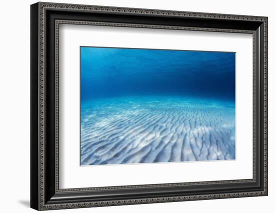 Underwater Shoot of an Infinite Sandy Sea Bottom with Clear Blue Water and Waves on its Surface-Dudarev Mikhail-Framed Photographic Print