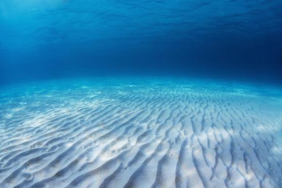 Underwater Shoot Of An Infinite Sandy Sea Bottom With Clear Blue Water