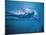 Underwater Shot of Debbie Meyer Swimming at the Summer Olympics-null-Mounted Premium Photographic Print