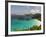 Underwater Snorkeling Trail, St John, United States Virgin Islands, USA, US Virgin Islands-Trish Drury-Framed Photographic Print