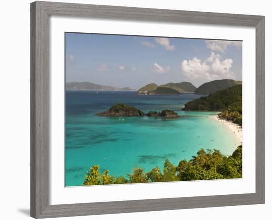 Underwater Snorkeling Trail, St John, United States Virgin Islands, USA, US Virgin Islands-Trish Drury-Framed Photographic Print