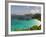 Underwater Snorkeling Trail, St John, United States Virgin Islands, USA, US Virgin Islands-Trish Drury-Framed Photographic Print