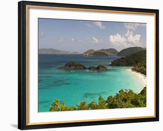 Underwater Snorkeling Trail, St John, United States Virgin Islands, USA, US Virgin Islands-Trish Drury-Framed Photographic Print