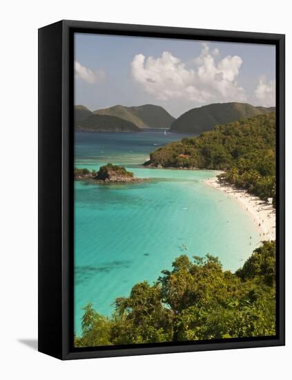 Underwater Snorkeling Trail, St John, United States Virgin Islands, USA, US Virgin Islands-Trish Drury-Framed Premier Image Canvas