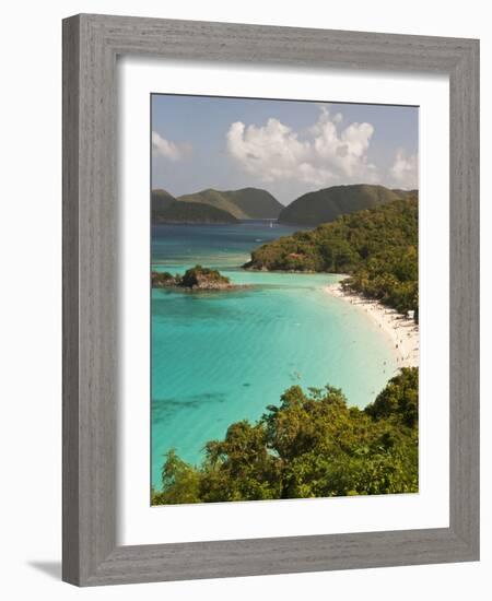 Underwater Snorkeling Trail, St John, United States Virgin Islands, USA, US Virgin Islands-Trish Drury-Framed Photographic Print