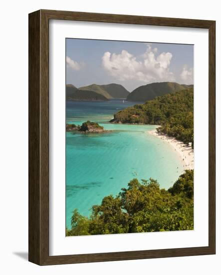 Underwater Snorkeling Trail, St John, United States Virgin Islands, USA, US Virgin Islands-Trish Drury-Framed Photographic Print