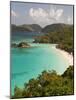 Underwater Snorkeling Trail, St John, United States Virgin Islands, USA, US Virgin Islands-Trish Drury-Mounted Photographic Print