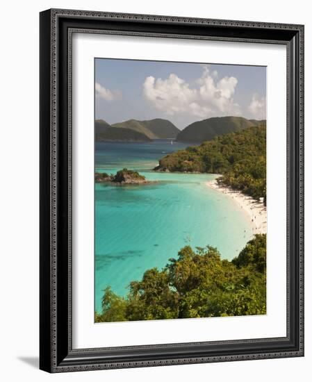 Underwater Snorkeling Trail, St John, United States Virgin Islands, USA, US Virgin Islands-Trish Drury-Framed Photographic Print