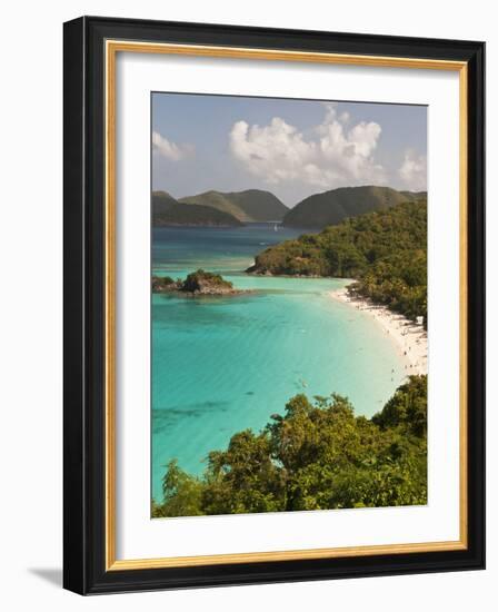 Underwater Snorkeling Trail, St John, United States Virgin Islands, USA, US Virgin Islands-Trish Drury-Framed Photographic Print