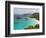 Underwater Snorkeling Trail, St John, United States Virgin Islands, USA, US Virgin Islands-Trish Drury-Framed Photographic Print