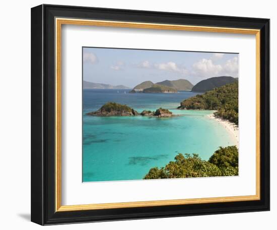 Underwater Snorkeling Trail, St John, United States Virgin Islands, USA, US Virgin Islands-Trish Drury-Framed Photographic Print