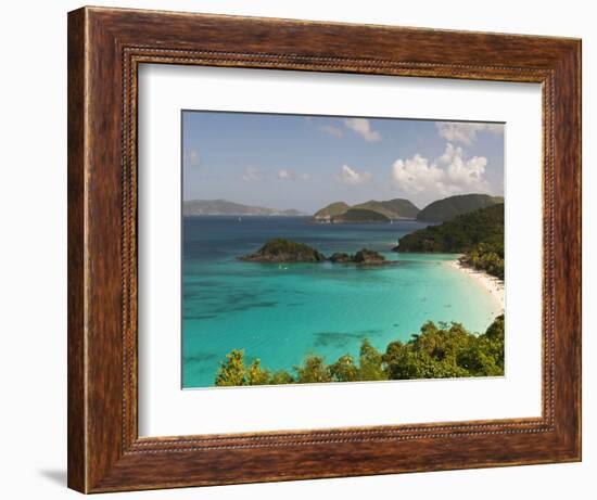 Underwater Snorkeling Trail, St John, United States Virgin Islands, USA, US Virgin Islands-Trish Drury-Framed Photographic Print