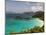 Underwater Snorkeling Trail, St John, United States Virgin Islands, USA, US Virgin Islands-Trish Drury-Mounted Photographic Print