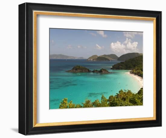 Underwater Snorkeling Trail, St John, United States Virgin Islands, USA, US Virgin Islands-Trish Drury-Framed Photographic Print